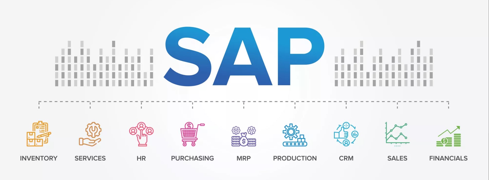 SAP chart
