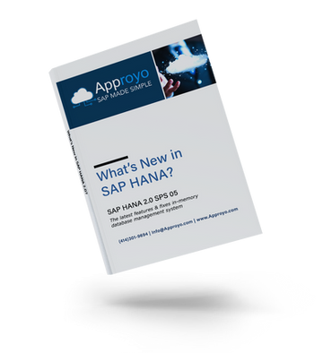 Whitepaper SAP HANA